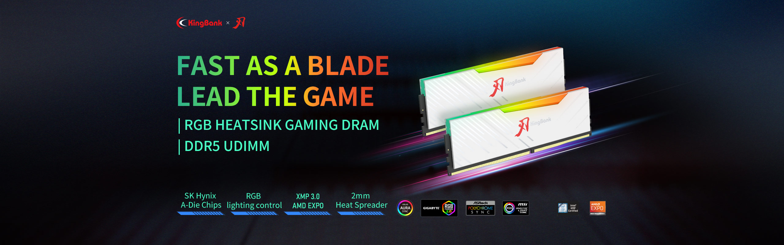 SSD and Memory RAM - High Performance Storage and Memory from KingBank