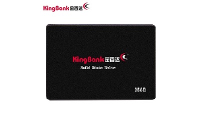 KINGBANK KP320 2.5" SATA Ⅲ SSD - 256GB